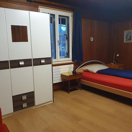 Traditional Swiss-Flat Интерлакен Экстерьер фото