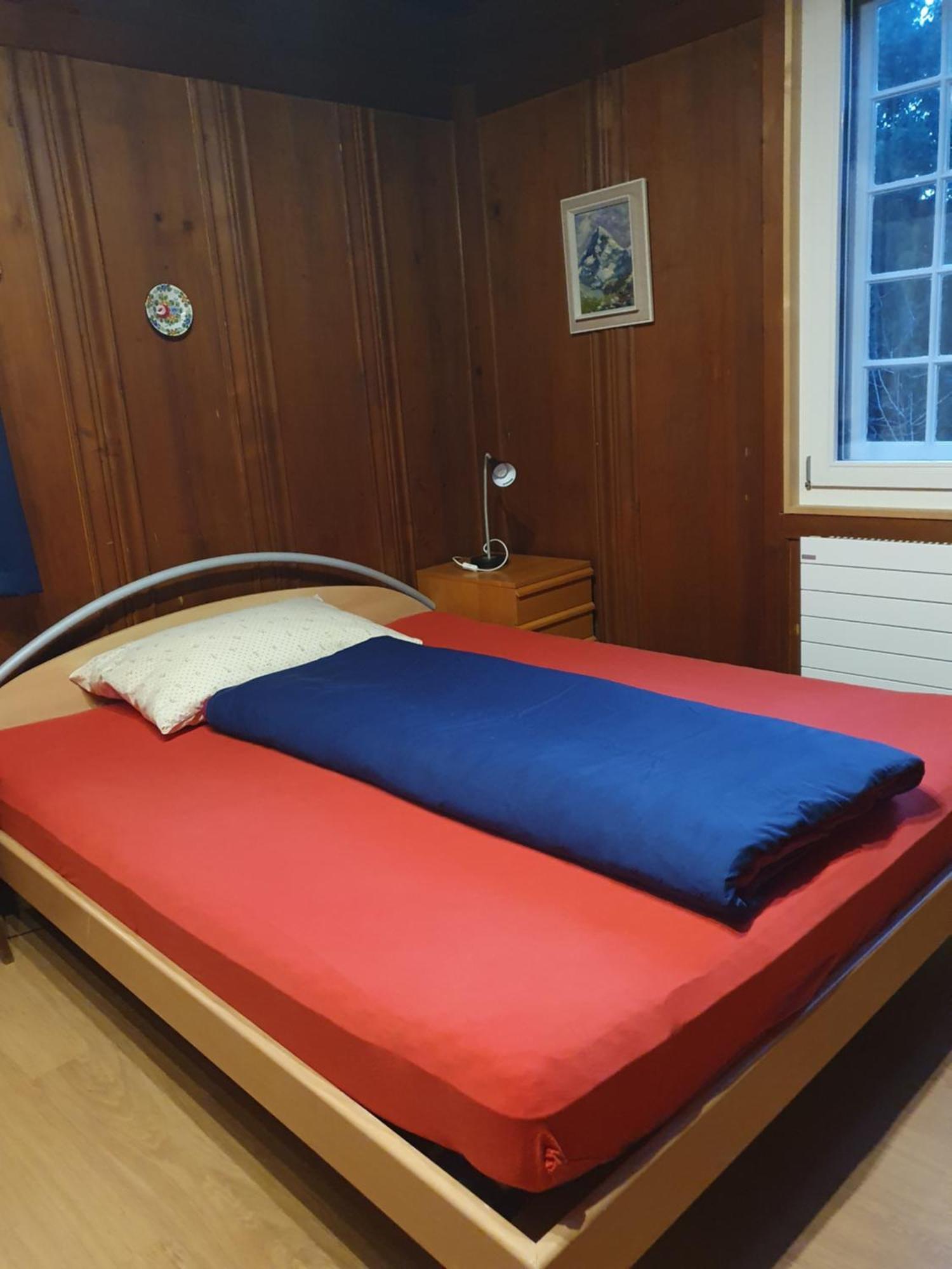 Traditional Swiss-Flat Интерлакен Экстерьер фото