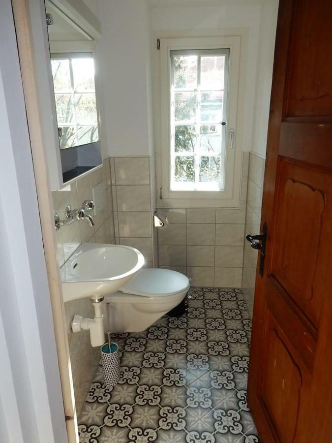 Traditional Swiss-Flat Интерлакен Экстерьер фото